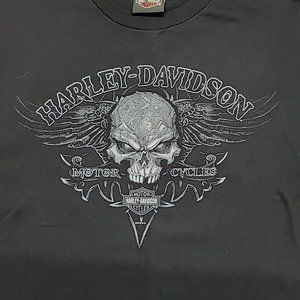 Harley Davidson Motorcycle Frieze O'Fallon Illinois Skull Wings T-Shirt Mens XL